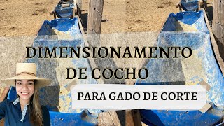 Dimensionamento de cocho para gado de corte