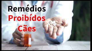 Dica pet:  MEDICAMENTOS PROIBÍDOS PARA CÃES