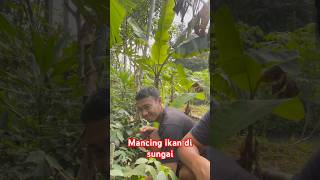 Mancing ikan di sungai #part4 #alam #sibolang #fishing #shortvideo #kawanlaladog