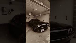 mustang #instagram #viralvideos