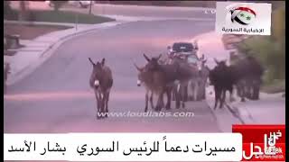 شاهد واضحك كيف انتخب الشبيحة سيدهم بشار الأسد البهرزي اليوم في مسرحية الانتخابات 😂😂