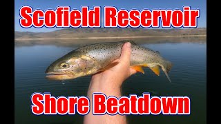 Scofield Reservoir Trout Beatdown Using Keitech Swim Baits!!!