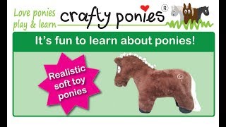 Everything you need to know in the Crafty Ponies booklet!