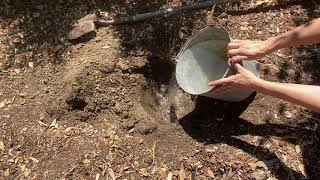 Learn at Home  - How to Conduct a Soil Percolation Test