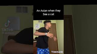 when a Asian sees a cat