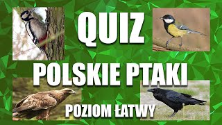 Ptaki Polski - Quiz, rozpoznawanie ptaków, poziom łatwy