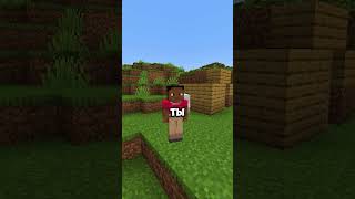 Приключения Шизика Квадропопенса 4 часть #shorts  #minecraft #майнкрафт