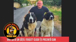 Mihai Nae @ClickRoOfficial 🐕  - Stapanul perfect pentru un caine fericit