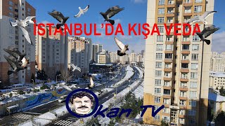 İstanbul'dan 2021 kışına veda. İstanbullular hayvanları unutmadı. Kuşlar ve martılar beslendi.