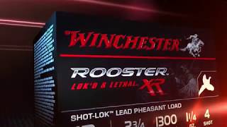 Rooster XR Overview