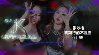 张妙格 - 我期待的不是雪 DjJK Remix⚡ 热门DJ音乐 | DJ舞曲 | 慢摇