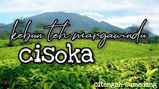 explore kebun teh margawindu cisoka keren banget..‼ || wisata ciitengah sumedang || explore sumedang