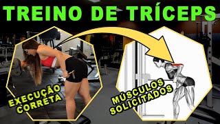 Mega Treino de Tríceps Completo - Melhores Exercícios!