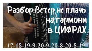 Разбор ветер не плачь на ГАРМОНИ в ЦИФРАХ