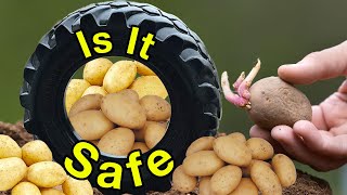 Is It Safe To Grow Potatoes In Tires?