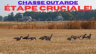 Étape LA PLUS IMPORTANTE de la chasse à l'outarde: La Prospection - Début de Saison