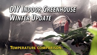 DIY Indoor Greenhouse - Winter Update. Temperature Comparison Post-Snow Storm.