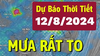 Dự báo thời tiết mới nhất hôm nay và ngày mai 12/8/2024