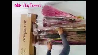 iBuyFlowers - NAE Christmas box #1 of the month December