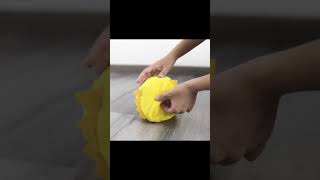 Pineapple Design Dog Snuffling Training