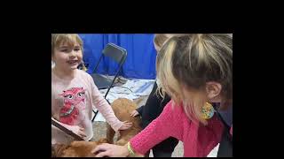 3 Girls & K9'S, behind the scenes at The National Dog Show