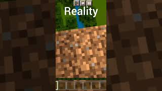 Minecraft expectation vs reality