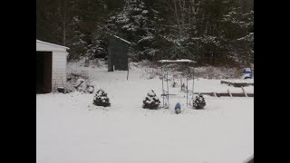 Tour of the old cabin, the Sugar Shack Video #6