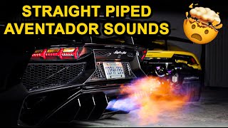 STRAIGHT PIPED AVENTADOR SV - PURE SOUND