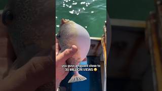 My favorite finds from this past crab season! Part 1… #fishing #shorts #trending #animals #viral