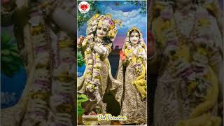 Dol purnima status 2023 || Dol purnima whatsaap status | Happy dol purnima 2023