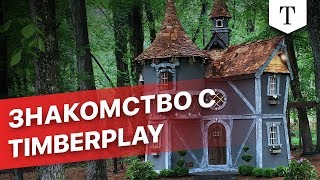 Знакомство с TimberPlay