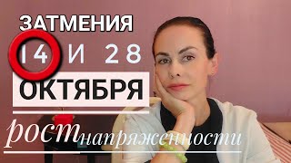 Затмения 14 и 28 октября 2023 г. с Северным узлом в ОВНЕ.  Время радикально решать проблемы