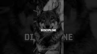 Discipline and Consistency #subscribe #motivation #goals