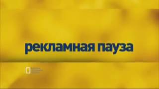 Заставки рекламы (National Geographic, 2012-2014)