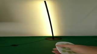 Modern Minimalist LED Floor Lamp Nordic Standing Lamps Living Room Test And Review Aliexpress Price