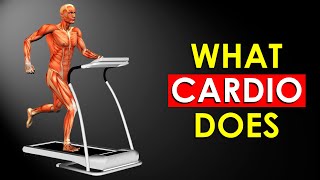 Here's What Happens to Your Body if You Do Cardio Workouts Every Day