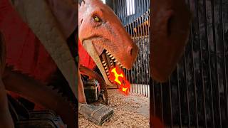 Knockhatch Adventure Park dragon castle #fun #dragon #youtubekids