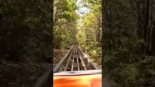 Gyöngyös-Sástó Alpine Coaster #alpinecoaster #action #hungary