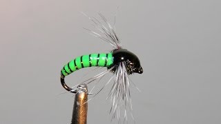 NYMPH  UV  variant  SVA