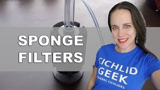 Sponge filter : How to set it up & How to use it