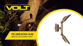 What's In The Box? | VOLT® Tri-Hub Ultra-Slim Brass Up/Down Light (Bronze)