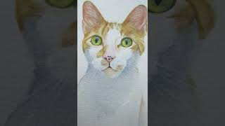 Gatinho em aquarela