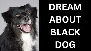 Dream About Black Dog Bite You...