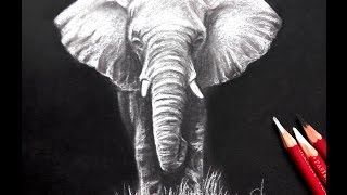 Drawing an elephant on black paper