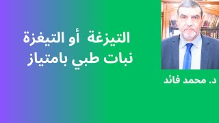 الدكتور محمد فائد || ثمار أو حبوب  التيزغة أو التيغزة مذاق حامض ومنافع كثيرة منها المعدة