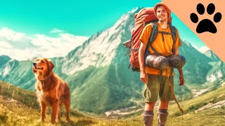 Top 10 Dogs to go Hiking with