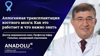 Аллогенная трансплантация костного мозга: Как это работает и что важно знать