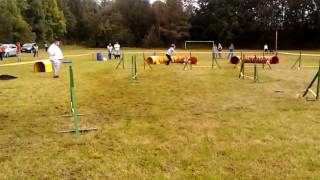 Agility hrátky BB, 24 8 2014, Radka Illéš a Jassica