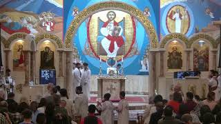 24 November 2024 - English Liturgy