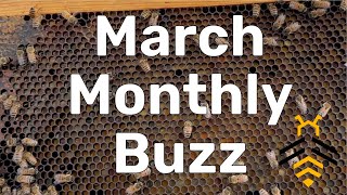 March 2024 Monthly Buzz